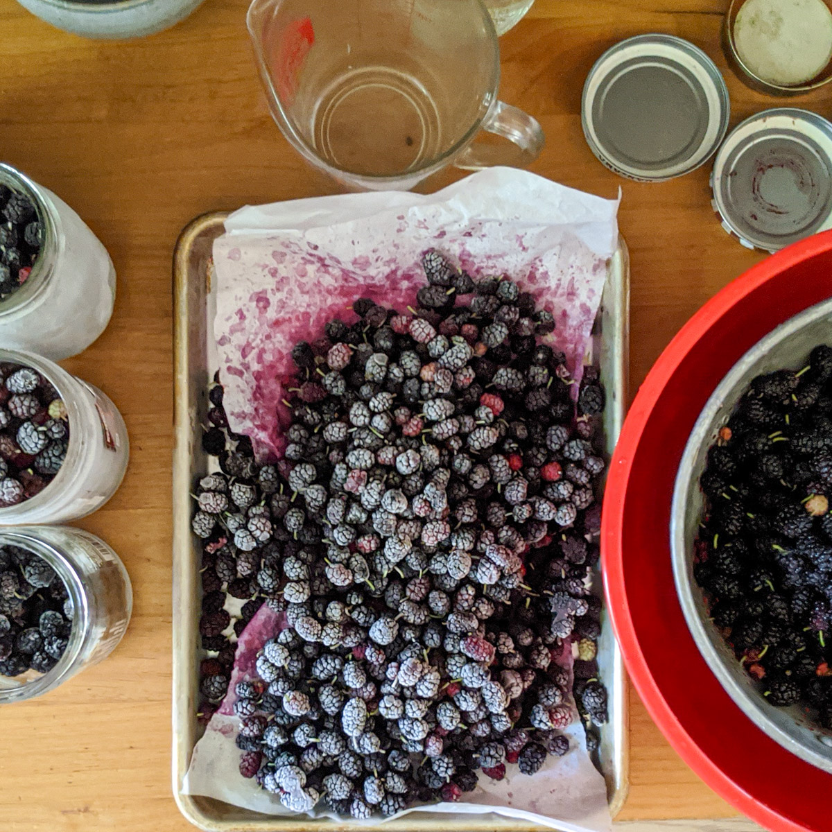 Lock in Summer Flavor: The Secret to Freezing Berries with Sweetener